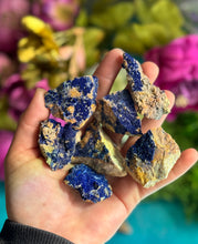 Load image into Gallery viewer, Raw "Bluebird" Azurite Clusters from Morenci, Arizona