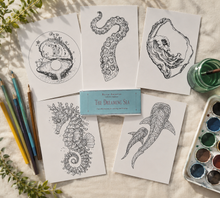 Load image into Gallery viewer, The Dreaming Sea : Collectible Art Coloring Pack : Ocean Coloring Pages : Adult Coloring