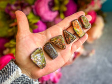Load image into Gallery viewer, Ethically Sourced Ammolite From Canada