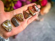 Load image into Gallery viewer, Ethically Sourced Ammolite From Canada