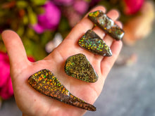 Load image into Gallery viewer, Ethically Sourced Ammolite From Canada