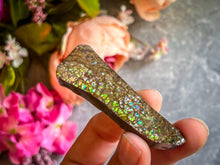 Load image into Gallery viewer, Ethically Sourced Ammolite From Canada