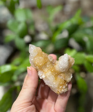 Load image into Gallery viewer, Spirit Quartz Points, Cactus Quartz Clusters, You Choose Size