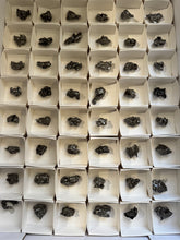 Load image into Gallery viewer, Campo del Cielo Meteorite Specimens, Authentic meteorite specimen