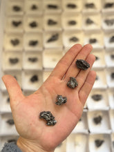 Load image into Gallery viewer, campo de cielo meteorite