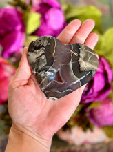 Load image into Gallery viewer, Volcano Agate Hearts