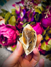 Load image into Gallery viewer, Druzy Shell Fossils, Rare Fossilized Shell From India