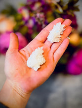 Load image into Gallery viewer, Cave Calcite Specimens From Mexico