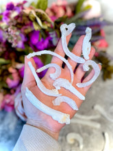 Load image into Gallery viewer, Ram's Horn Selenite, Rare Mineral Specimen