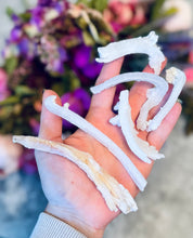 Load image into Gallery viewer, Ram's Horn Selenite, Rare Mineral Specimen