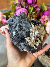Load image into Gallery viewer, Huge Black Rose Fluorite Specimens, Rare Fluorite, Fluoresce Red or Pink