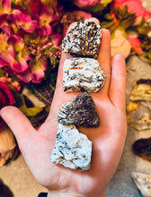 Load image into Gallery viewer, Astrophyllite Specimens from Russia