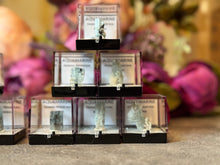 Load image into Gallery viewer, Aquamarine Specimens, Erongo Namibia, Perkie Box