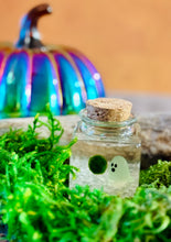 Load image into Gallery viewer, MARIMOMO - Glow-in-the-Dark Ghost Real Marimo Jar with Clear Quartz – Spooky Cute Halloween Decor