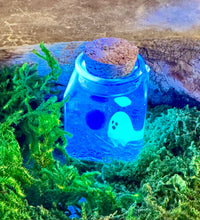 Load image into Gallery viewer, MARIMOMO - Glow-in-the-Dark Ghost Real Marimo Jar with Clear Quartz – Spooky Cute Halloween Decor
