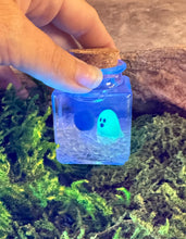 Load image into Gallery viewer, MARIMOMO - Glow-in-the-Dark Ghost Real Marimo Jar with Clear Quartz – Spooky Cute Halloween Decor