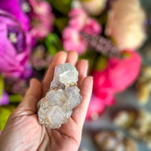 Load image into Gallery viewer, Large Spirit Quartz Points + Cactus Quartz Clusters