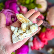 Load image into Gallery viewer, Large Spirit Quartz Points + Cactus Quartz Clusters