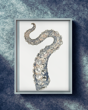 Load image into Gallery viewer, Transmutation - Octopus Tentacle Art Print