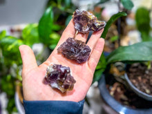 Load image into Gallery viewer, ANHUI Yellow Fluorite with Thousand Layer Purple Phantoms, RARE Minerals