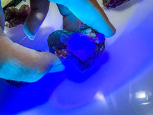 Load image into Gallery viewer, ANHUI Yellow Fluorite with Thousand Layer Purple Phantoms, RARE Minerals