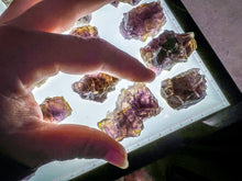 Load image into Gallery viewer, ANHUI Yellow Fluorite with Thousand Layer Purple Phantoms, RARE Minerals