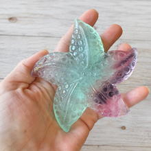 Load image into Gallery viewer, Aqua and purple Fluorite starfish carving held in hand
