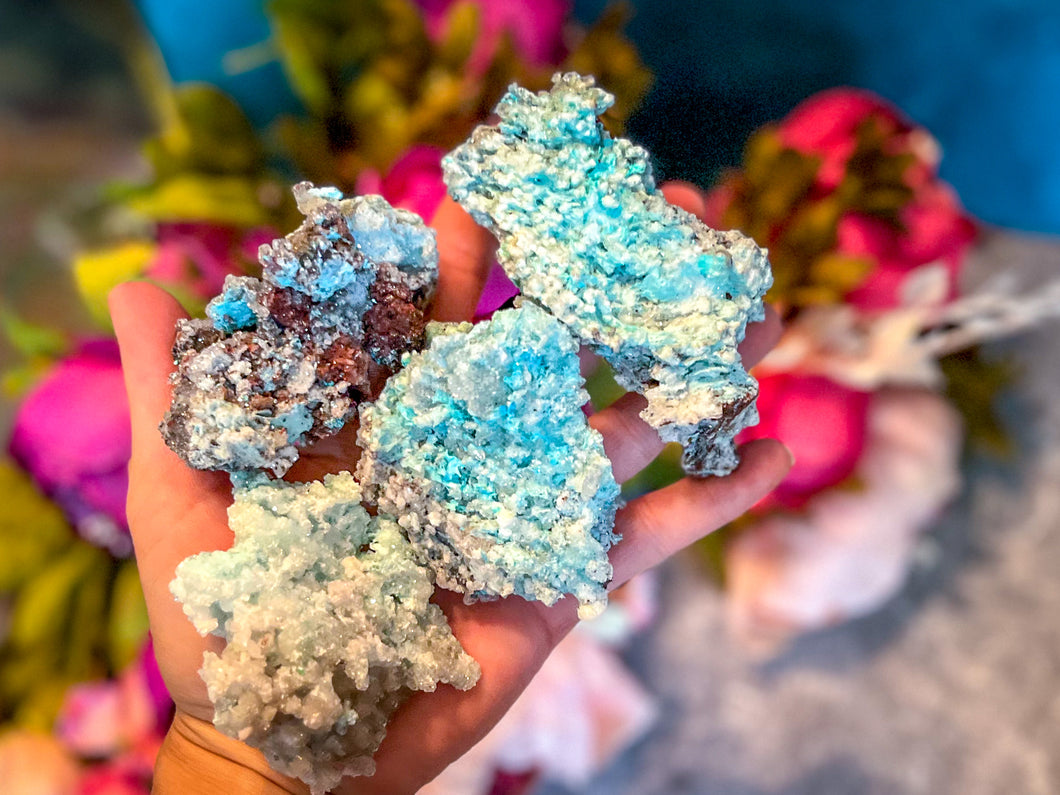 Crystallized Blue Aragonite Specimens, some with Caribbean Blue Calcite and Smoky Quartz