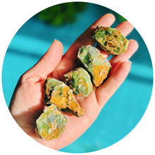 Load image into Gallery viewer, Chrome Chalcedony – Natural Vivid Green Chalcedony Crystal Specimen