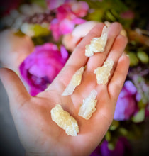 Load image into Gallery viewer, Celestite with Calcite, Clay Center, USA Minerals