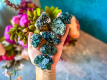 Load image into Gallery viewer, Naughty Gnome Pocket Fluorite Clusters, Diana Maria Mine, Daylight Fluorescent Fluorite