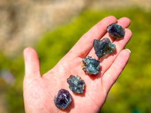 Load image into Gallery viewer, Naughty Gnome Pocket Fluorite Clusters, Diana Maria Mine, Daylight Fluorescent Fluorite
