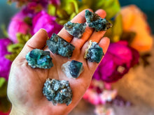 Load image into Gallery viewer, Naughty Gnome Pocket Fluorite Clusters, Diana Maria Mine, Daylight Fluorescent Fluorite