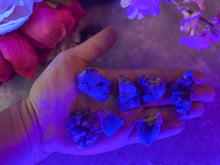 Load image into Gallery viewer, Naughty Gnome Pocket Fluorite Clusters, Diana Maria Mine, Daylight Fluorescent Fluorite