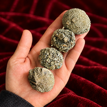 Load image into Gallery viewer, Four natural disco ball pyrite specimens held in a hand against burgundy velvet