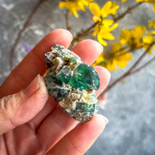 Load image into Gallery viewer, Druzy Dreams Pocket Fluorite Clusters (Color Change) Diana Maria Mine, Fluorescent Fluorite