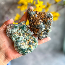 Load image into Gallery viewer, Druzy Dreams Pocket Fluorite Clusters (Color Change) Diana Maria Mine, Fluorescent Fluorite