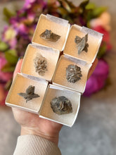 Load image into Gallery viewer, Glauberite Mineral Specimen from Bertram Mine, California