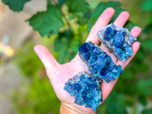 Load image into Gallery viewer, Hidden Forest Pocket Fluorite Clusters, Diana Maria Mine, Daylight Fluorescent Fluorite