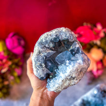 Load image into Gallery viewer, Ethically Sourced CELESTITE Clusters, 5.5 lbs - 10 lbs!