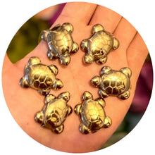 Load image into Gallery viewer, Cute Pyrite Turtle