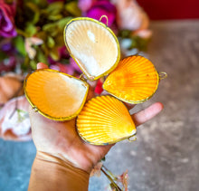 Load image into Gallery viewer, Gold-Edged Shell Compacts, mermaid beach ocean themed