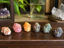 Load image into Gallery viewer, Six assorted miniature crystal axolotl carvings in a natural history setting