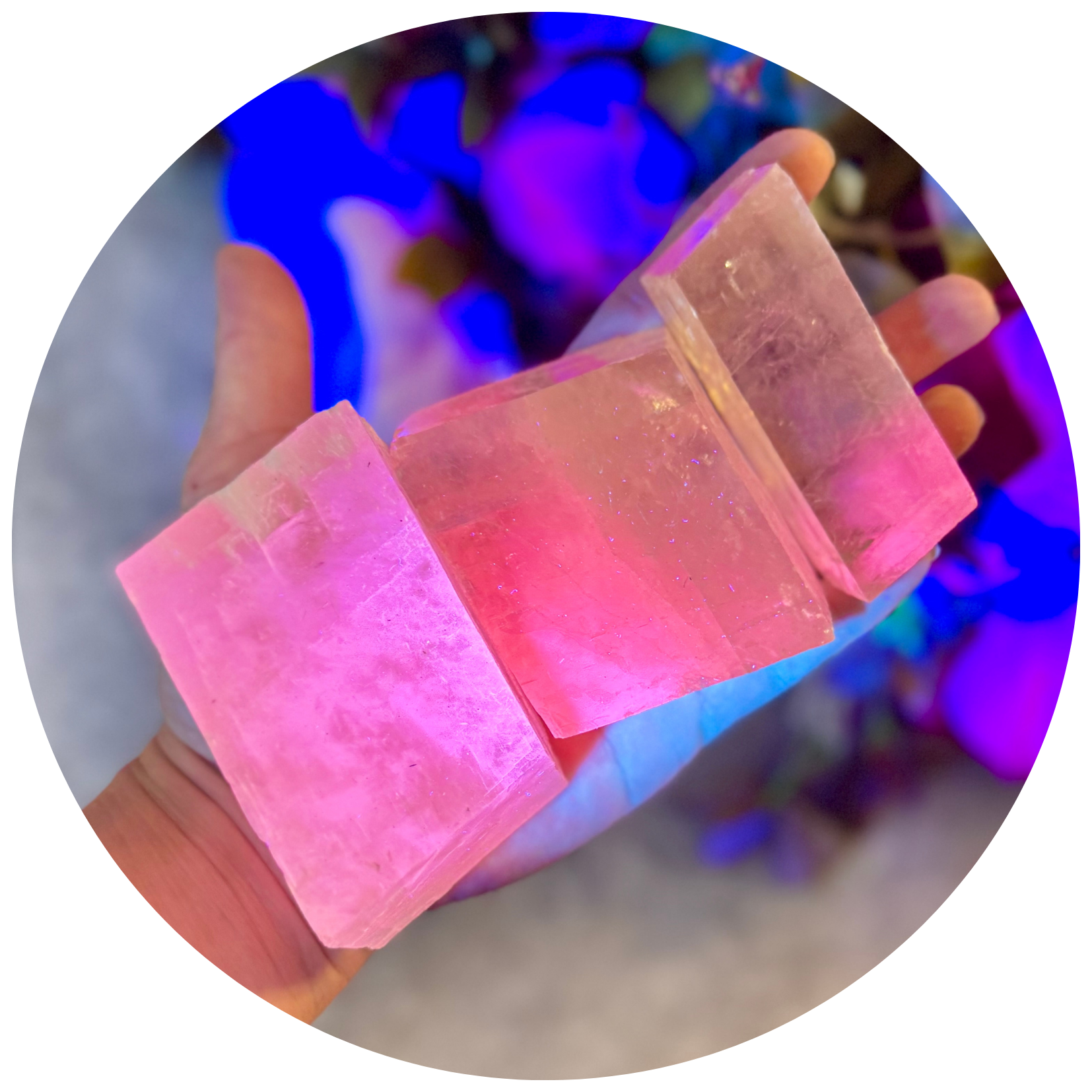 crystal petal 贝壳光 Optical Calcite, Glows PINK Under UV Light, Fluorescent Minerals
