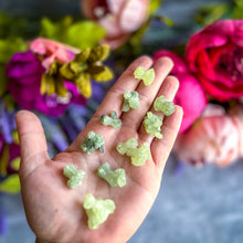 Load image into Gallery viewer, 10 Pc Prehnite Bowties, Rare Mineral Formation!