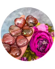 Load image into Gallery viewer, Ethically Sourced Petrified Wood Hearts