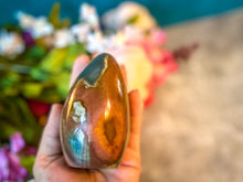 Load image into Gallery viewer, Polychrome Jasper Freeforms