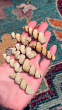 Load and play video in Gallery viewer, Turritella Shell Fossils, Gastropod Fossil from the Potomac River, Maryland