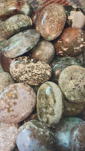 Load and play video in Gallery viewer, Ocean Jasper Palmstones