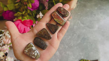 Load and play video in Gallery viewer, Ethically Sourced Ammolite From Canada